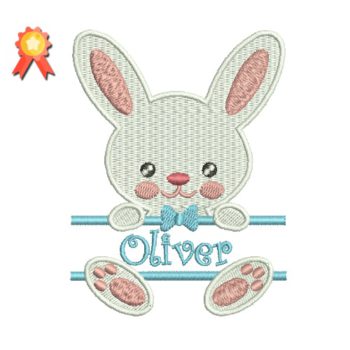 Bunny Boy Machine Embroidery Design
